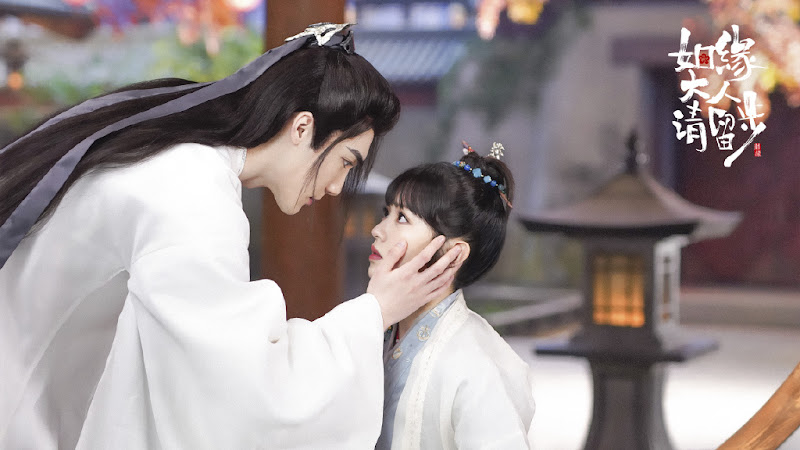 Ms. Cupid in Love / Lord Marriage, Please Stay China Web Drama